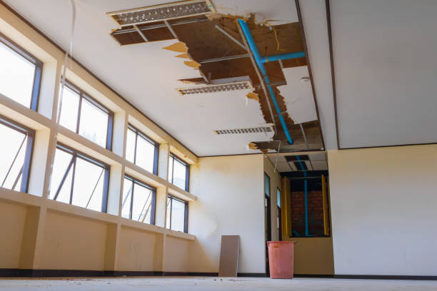 Best Water damage restoration experts  in Ransomville, NY