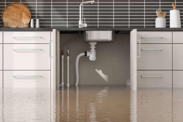 Best Local water damage restoration  in Ransomville, NY