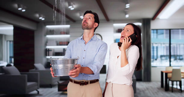 Best Water damage restoration services  in Ransomville, NY
